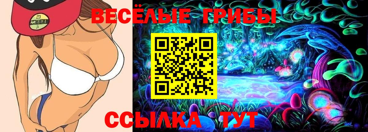 Псилоцибиновые грибы Psilocybine cubensis Муравленко